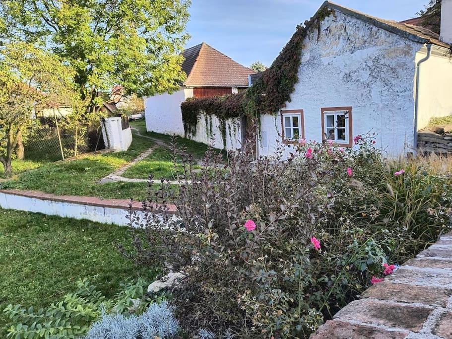 Chaloupka U Mostu Sv Jana V Centru Vodnan Vodňany المظهر الخارجي الصورة